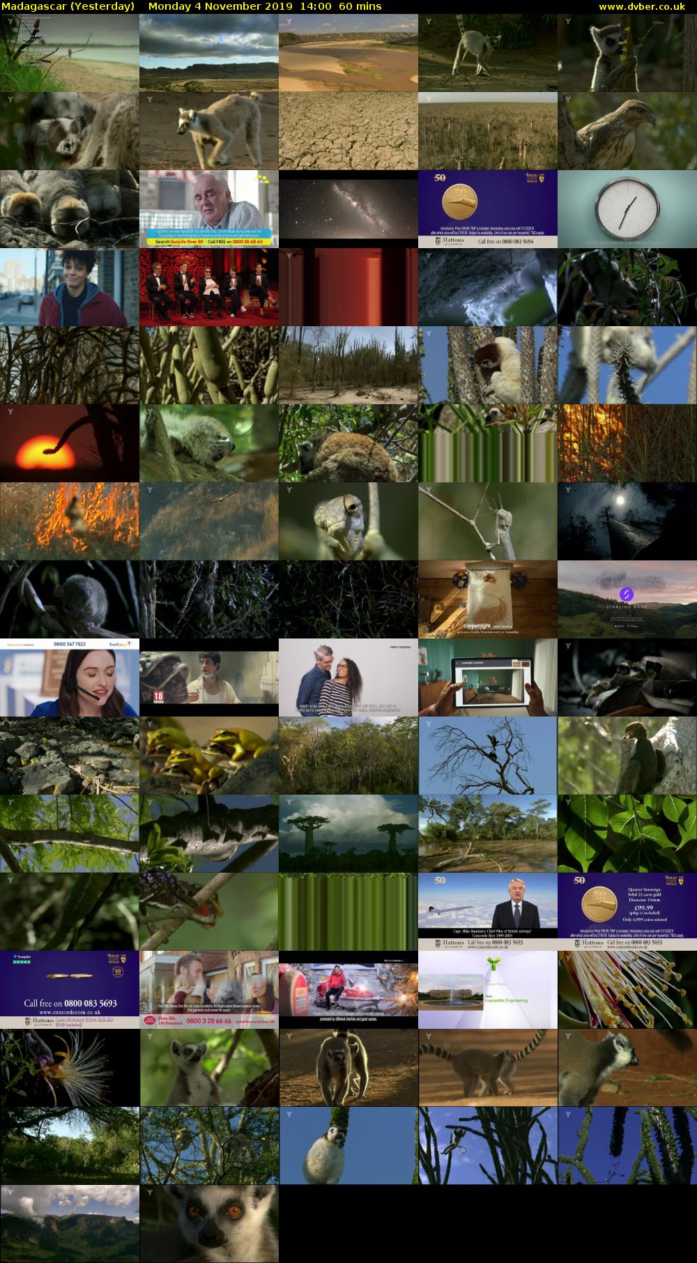 Madagascar (Yesterday) Monday 4 November 2019 14:00 - 15:00