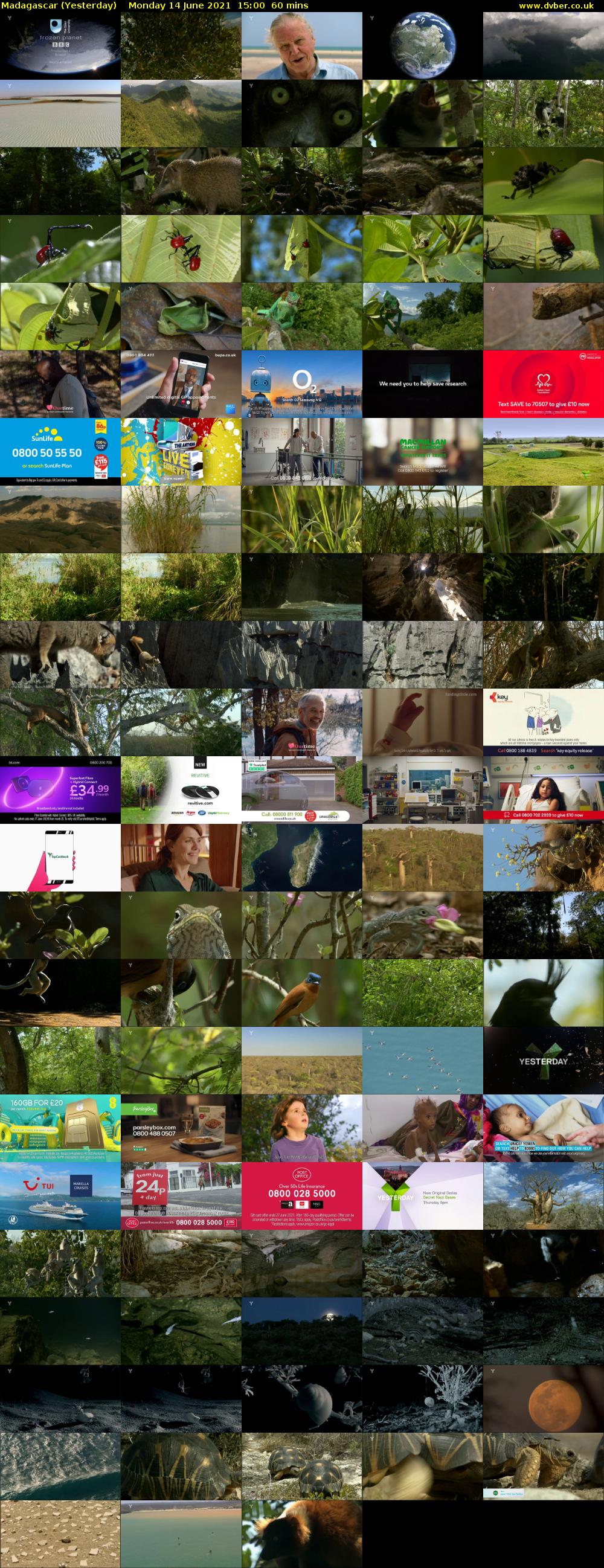 Madagascar (Yesterday) Monday 14 June 2021 15:00 - 16:00
