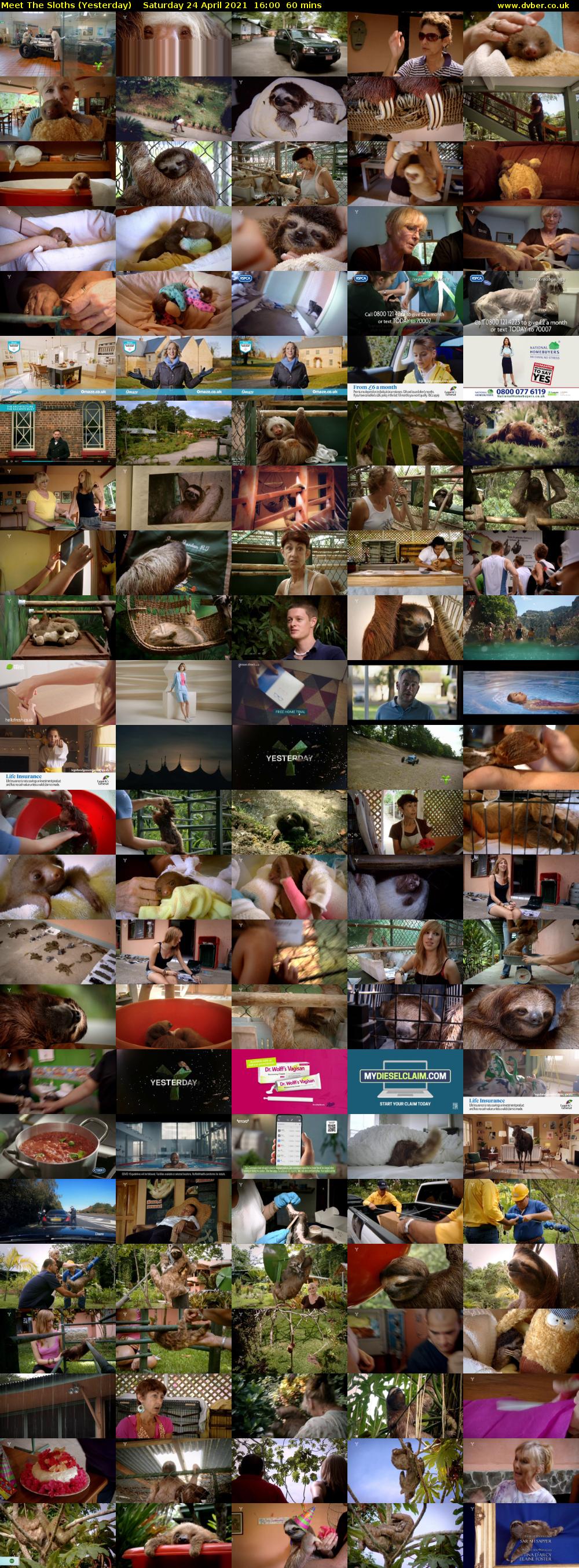 Meet The Sloths (Yesterday) Saturday 24 April 2021 16:00 - 17:00