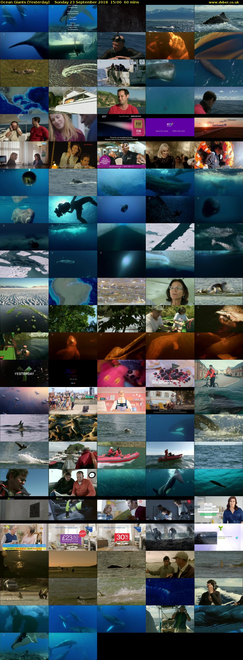 Ocean Giants (Yesterday) Sunday 23 September 2018 15:00 - 16:00