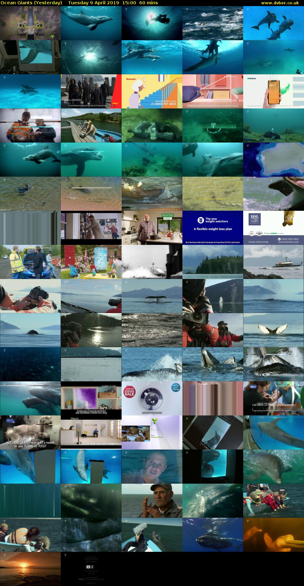 Ocean Giants (Yesterday) Tuesday 9 April 2019 15:00 - 16:00