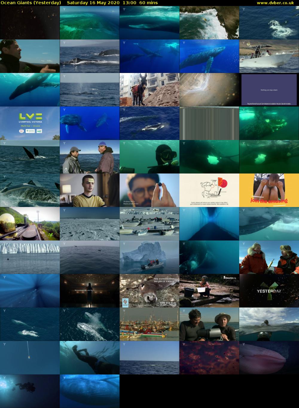 Ocean Giants (Yesterday) Saturday 16 May 2020 13:00 - 14:00