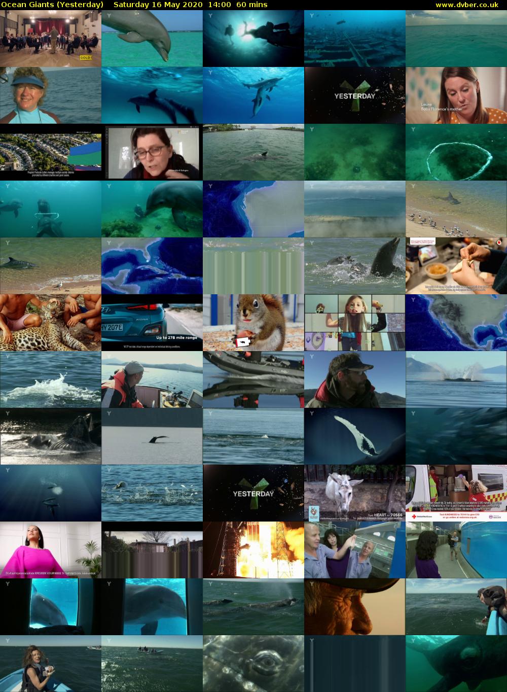 Ocean Giants (Yesterday) Saturday 16 May 2020 14:00 - 15:00