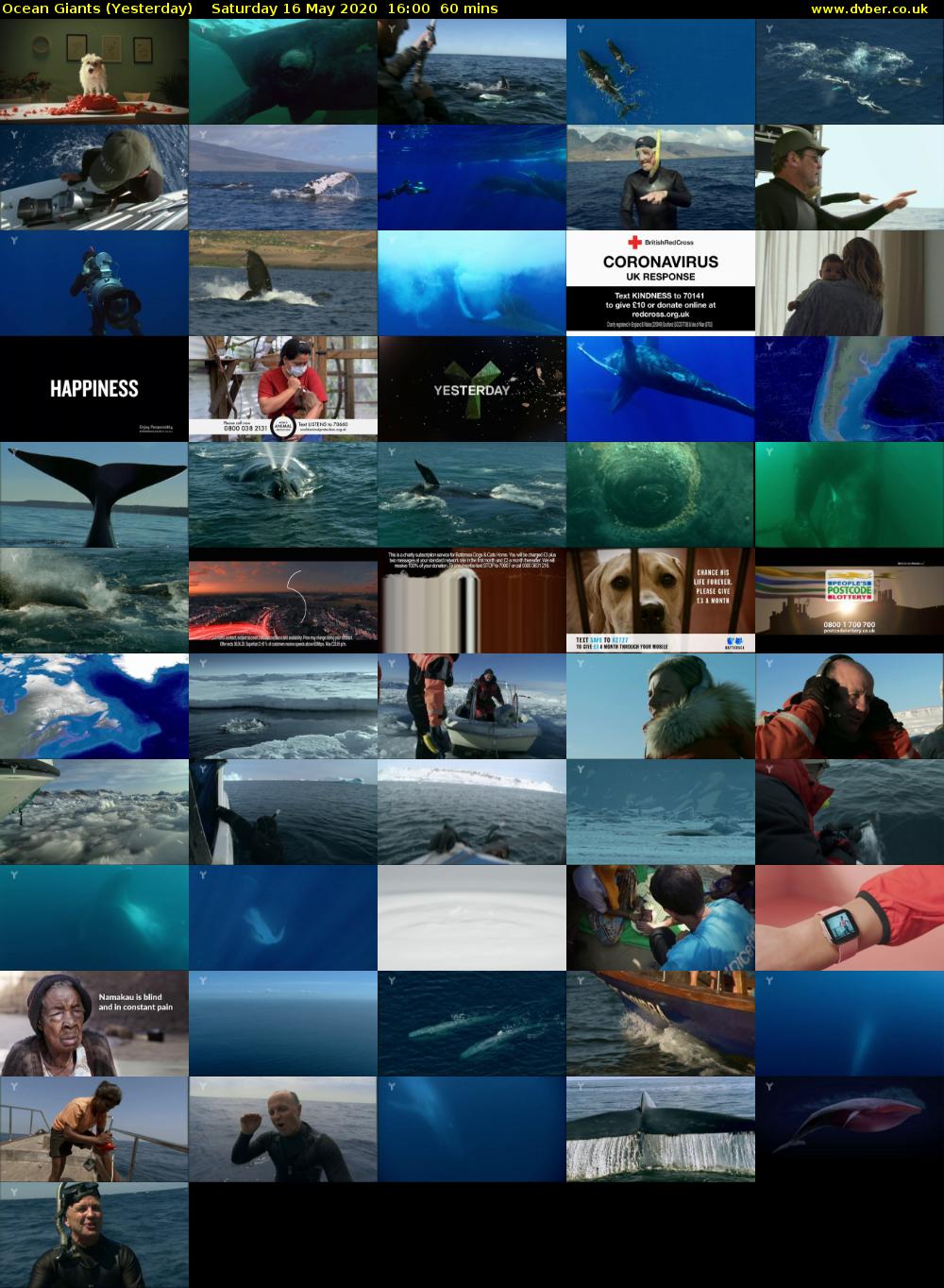 Ocean Giants (Yesterday) Saturday 16 May 2020 16:00 - 17:00