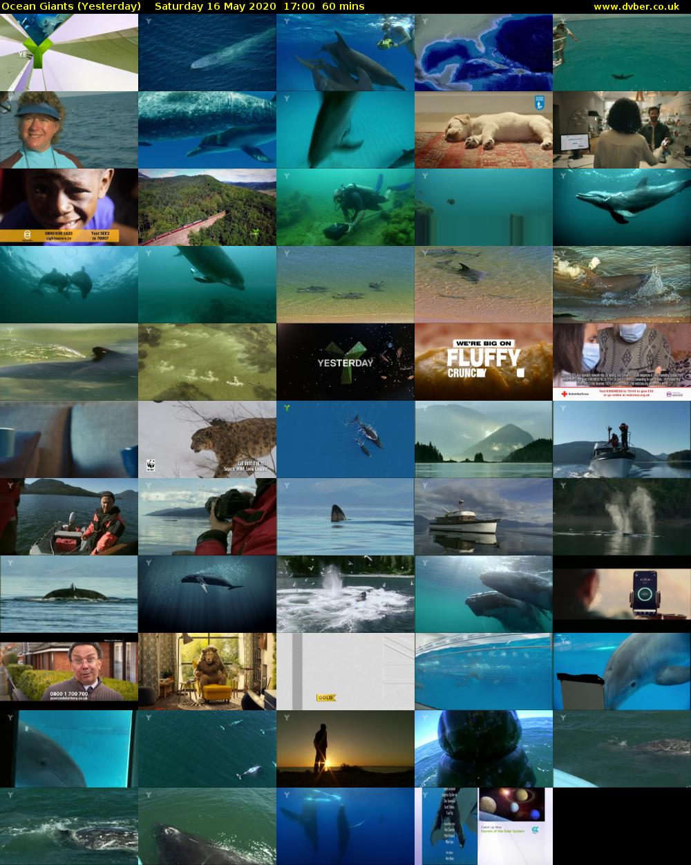 Ocean Giants (Yesterday) Saturday 16 May 2020 17:00 - 18:00