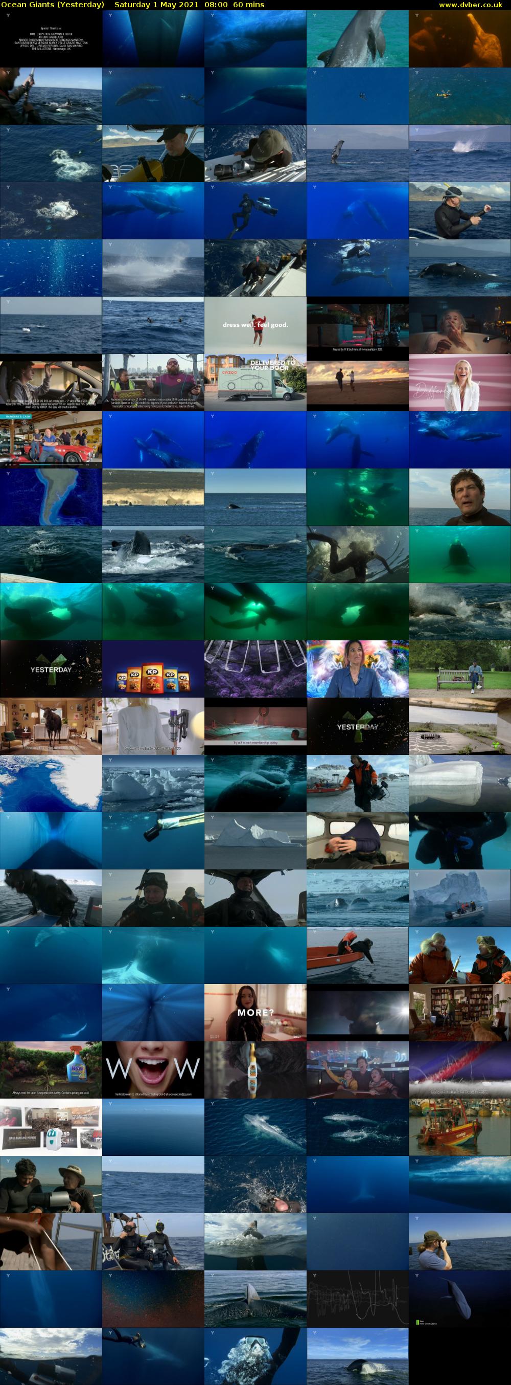Ocean Giants (Yesterday) Saturday 1 May 2021 08:00 - 09:00