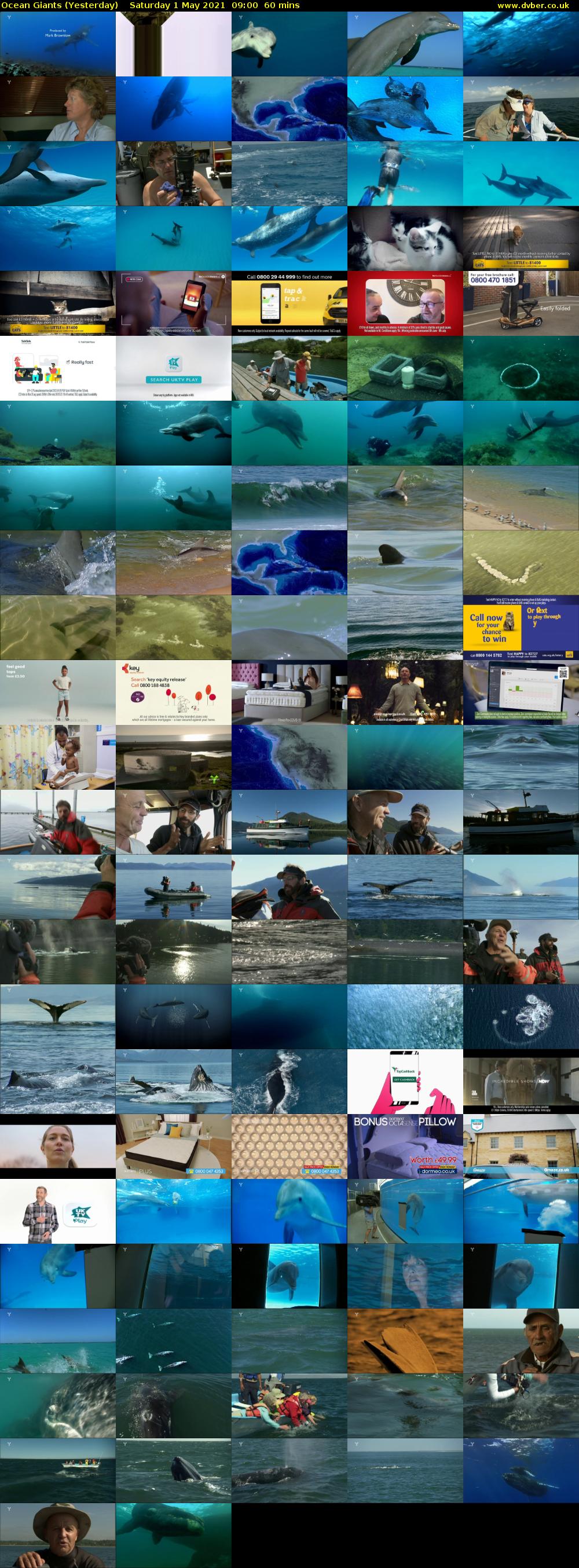 Ocean Giants (Yesterday) Saturday 1 May 2021 09:00 - 10:00