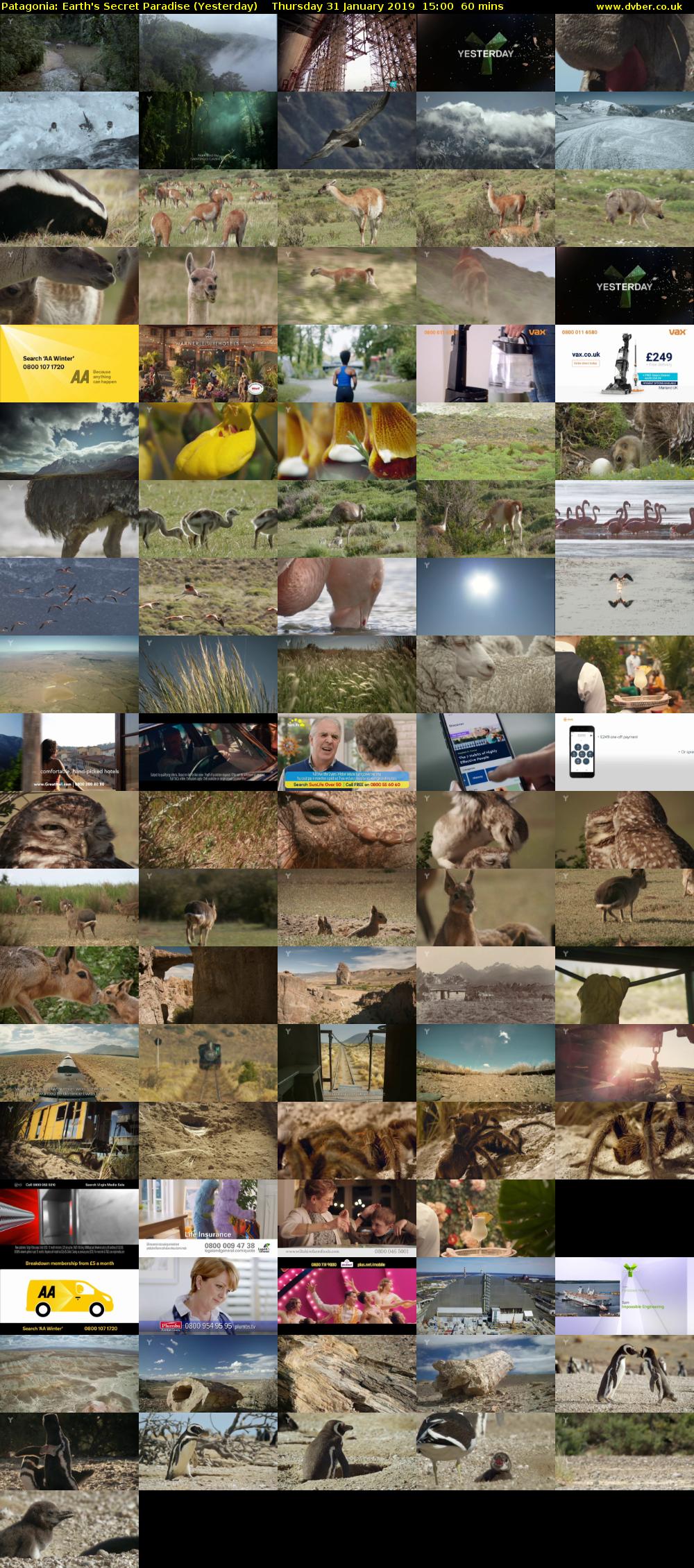 Patagonia: Earth's Secret Paradise (Yesterday) Thursday 31 January 2019 15:00 - 16:00