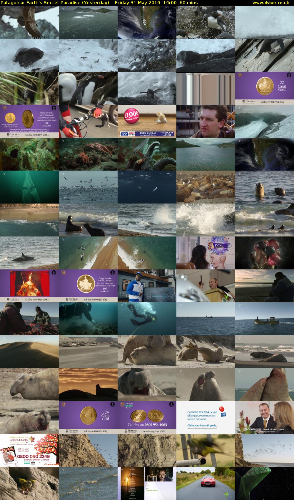 Patagonia: Earth's Secret Paradise (Yesterday) Friday 31 May 2019 14:00 - 15:00