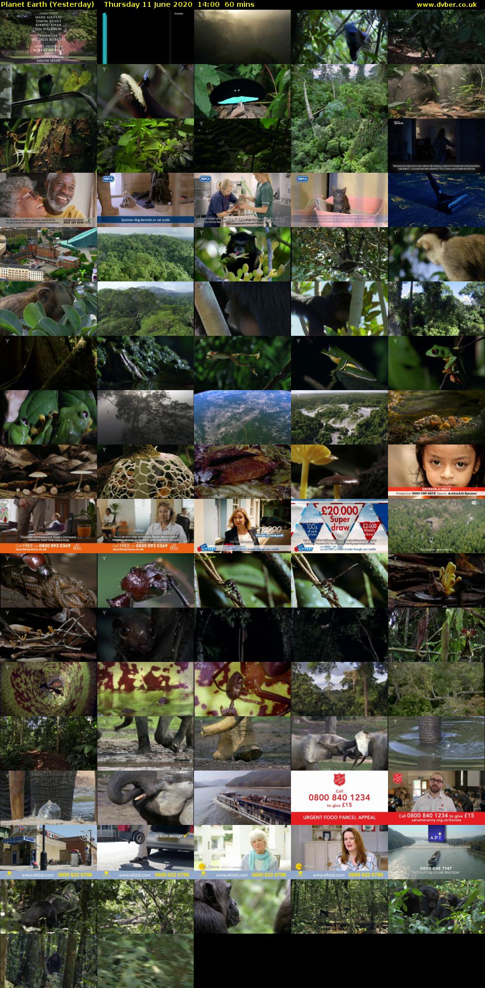 Planet Earth (Yesterday) Thursday 11 June 2020 14:00 - 15:00