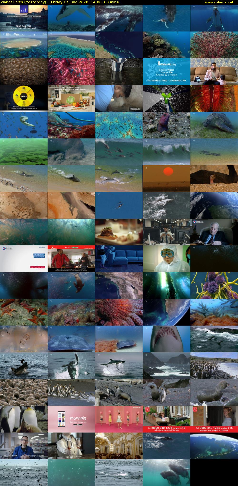 Planet Earth (Yesterday) Friday 12 June 2020 14:00 - 15:00