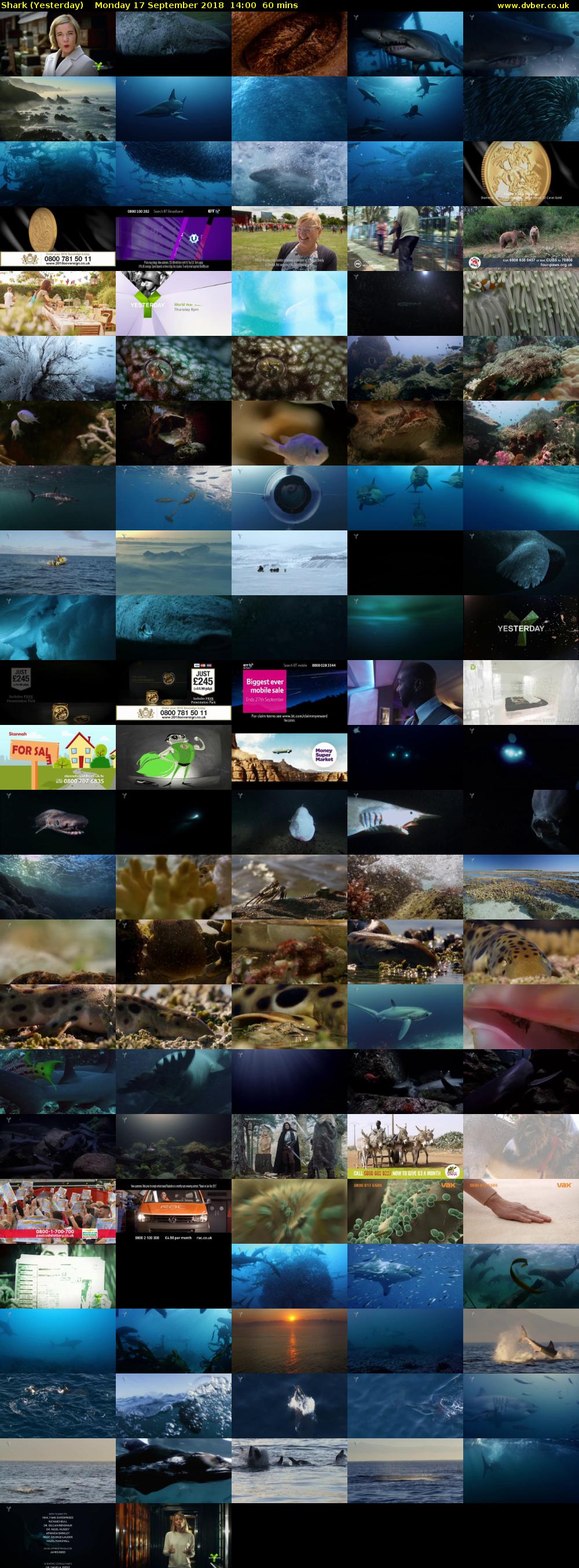 Shark (Yesterday) Monday 17 September 2018 14:00 - 15:00
