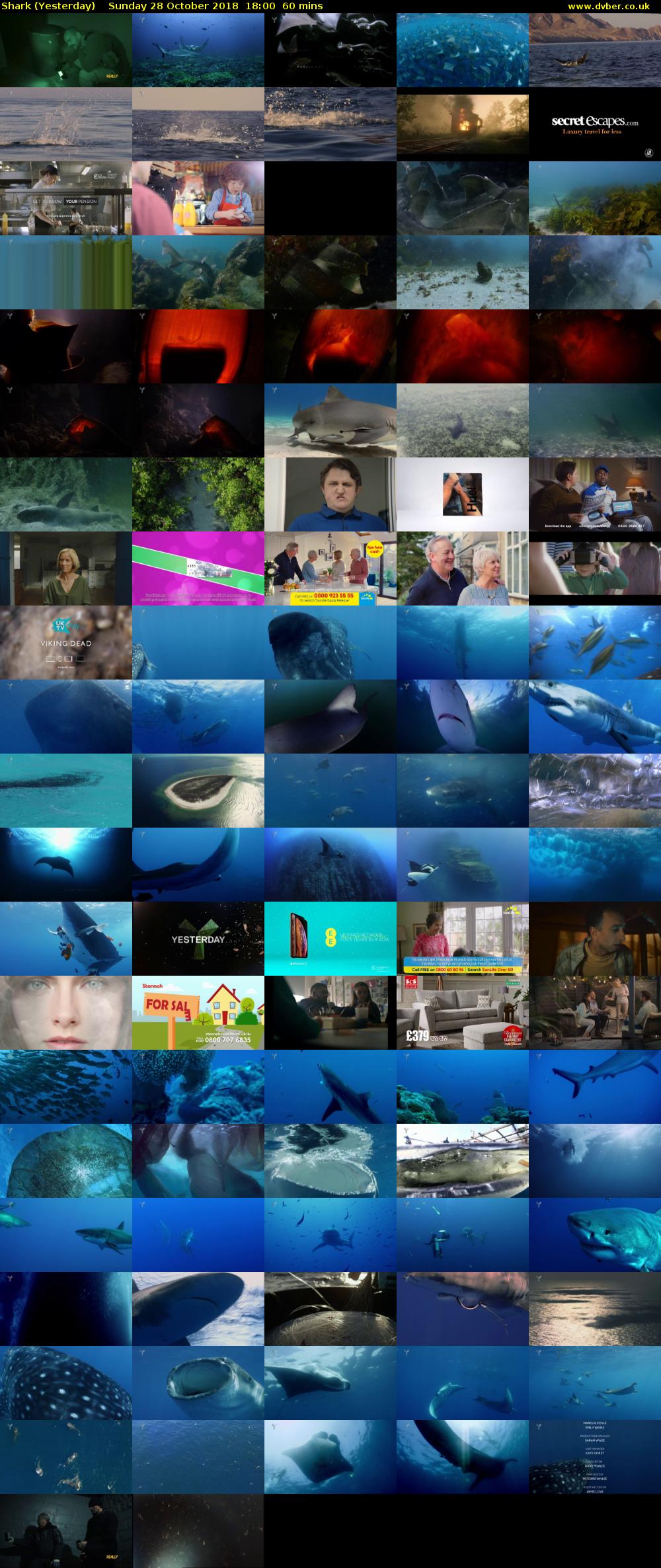Shark (Yesterday) Sunday 28 October 2018 18:00 - 19:00