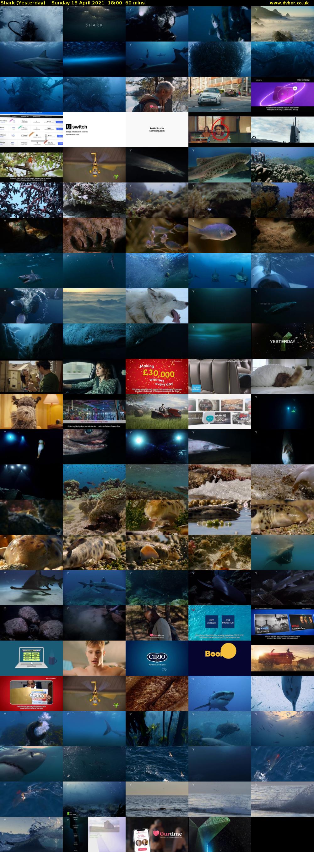 Shark (Yesterday) Sunday 18 April 2021 18:00 - 19:00