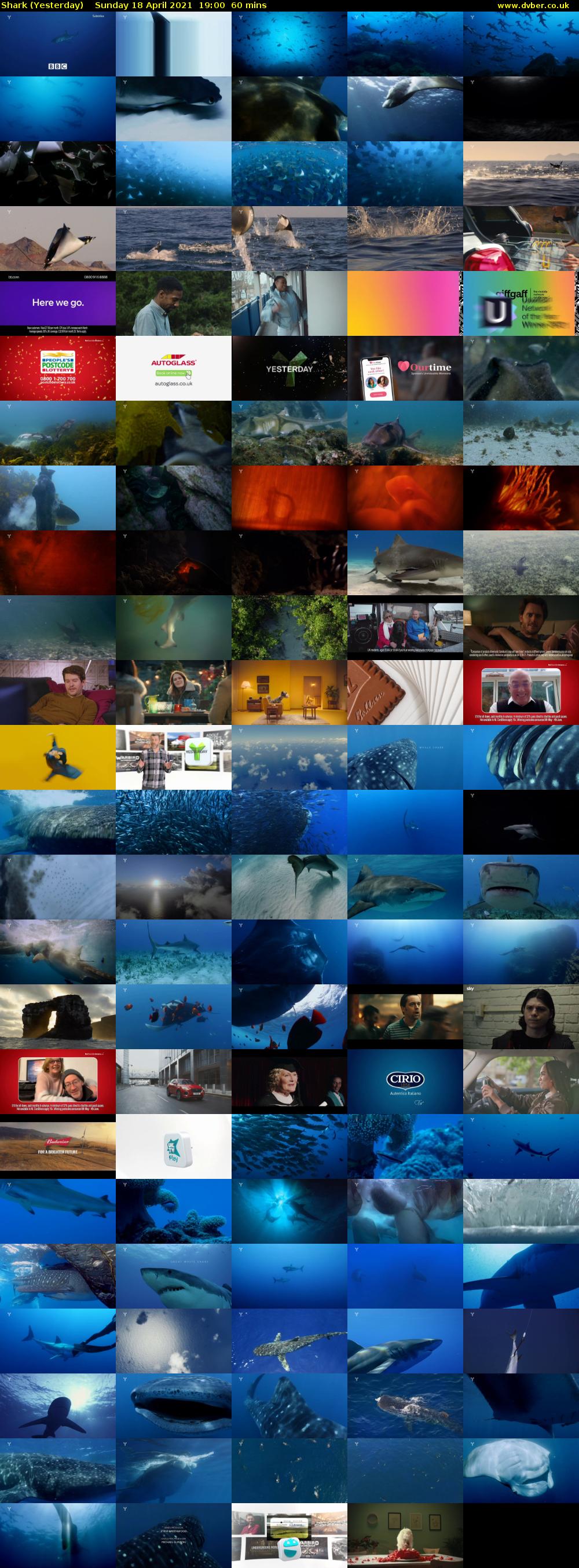Shark (Yesterday) Sunday 18 April 2021 19:00 - 20:00