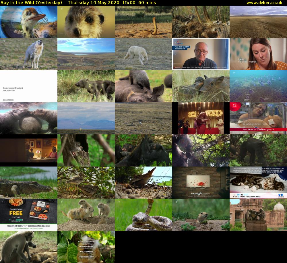 Spy In the Wild (Yesterday) Thursday 14 May 2020 15:00 - 16:00