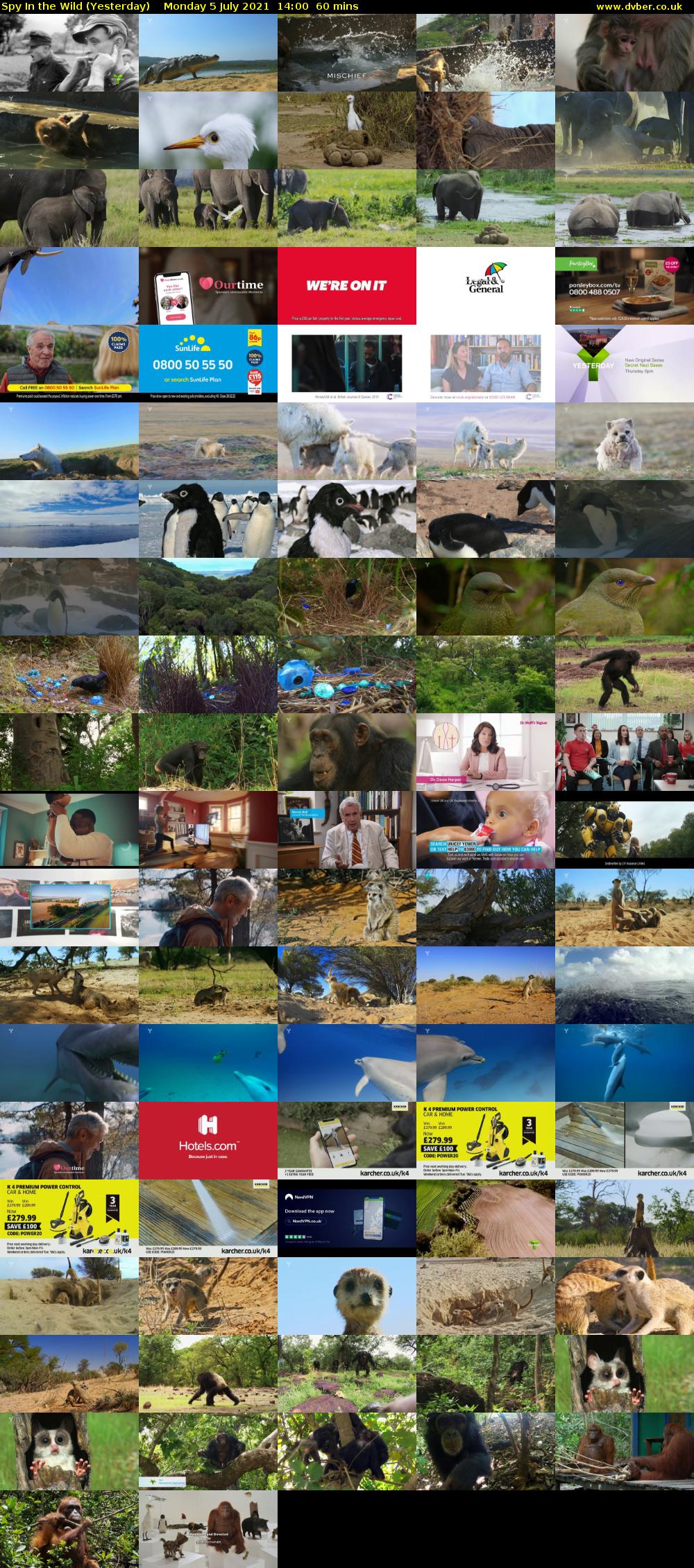 Spy In the Wild (Yesterday) Monday 5 July 2021 14:00 - 15:00