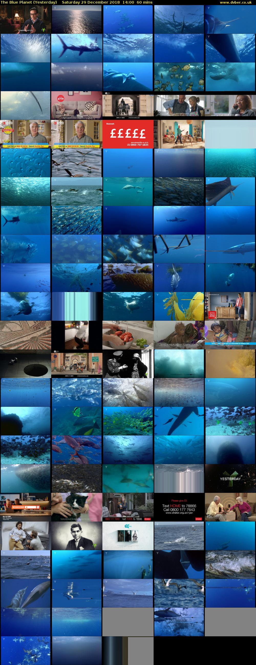 The Blue Planet (Yesterday) Saturday 29 December 2018 14:00 - 15:00