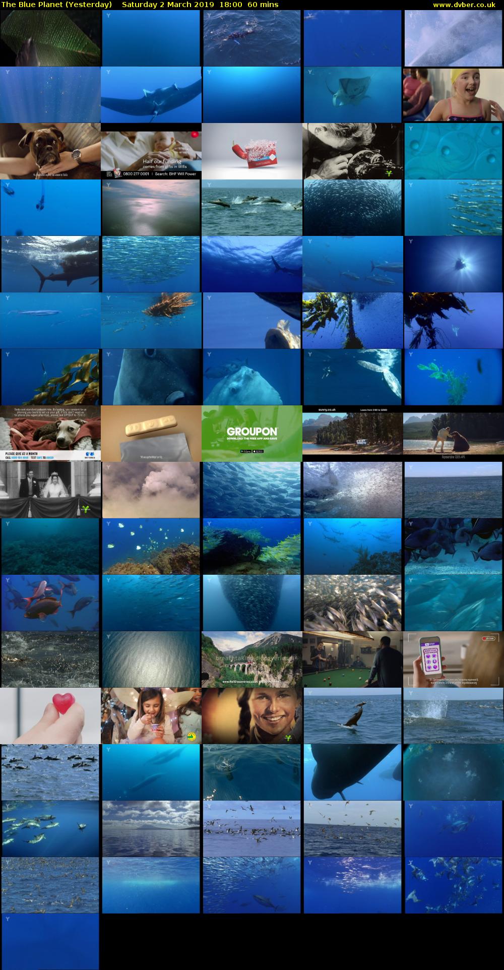 The Blue Planet (Yesterday) Saturday 2 March 2019 18:00 - 19:00