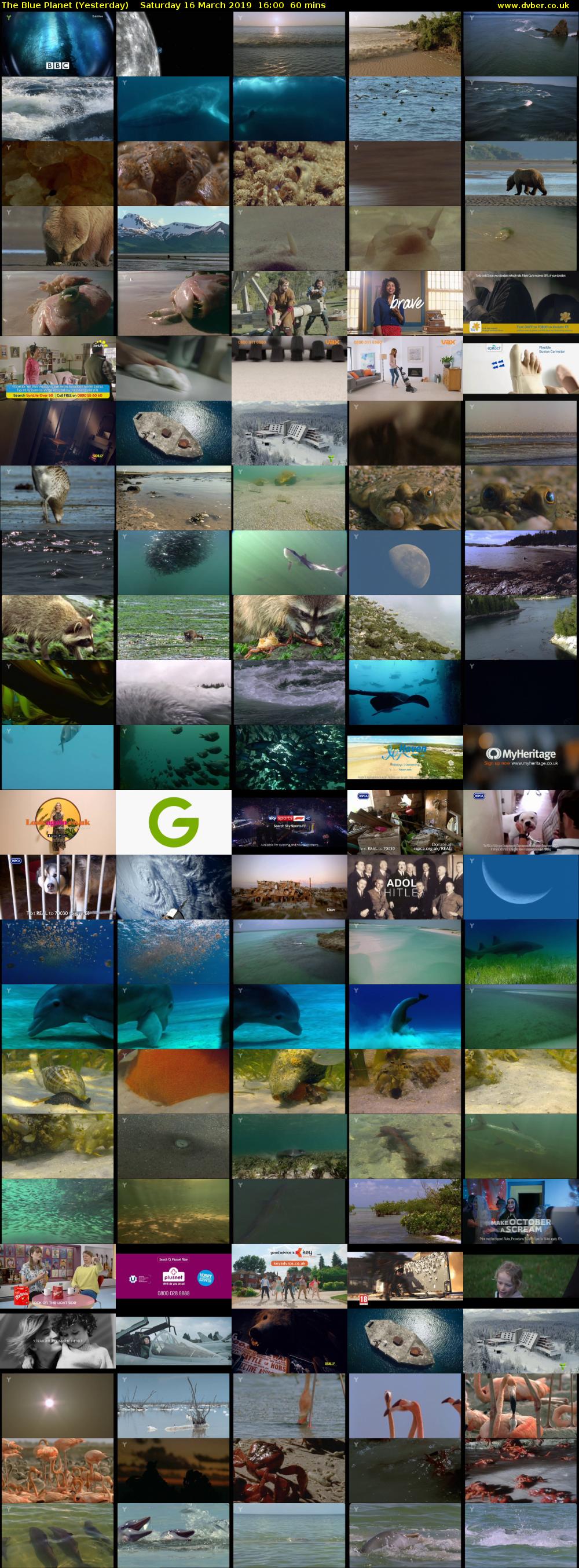 The Blue Planet (Yesterday) Saturday 16 March 2019 16:00 - 17:00