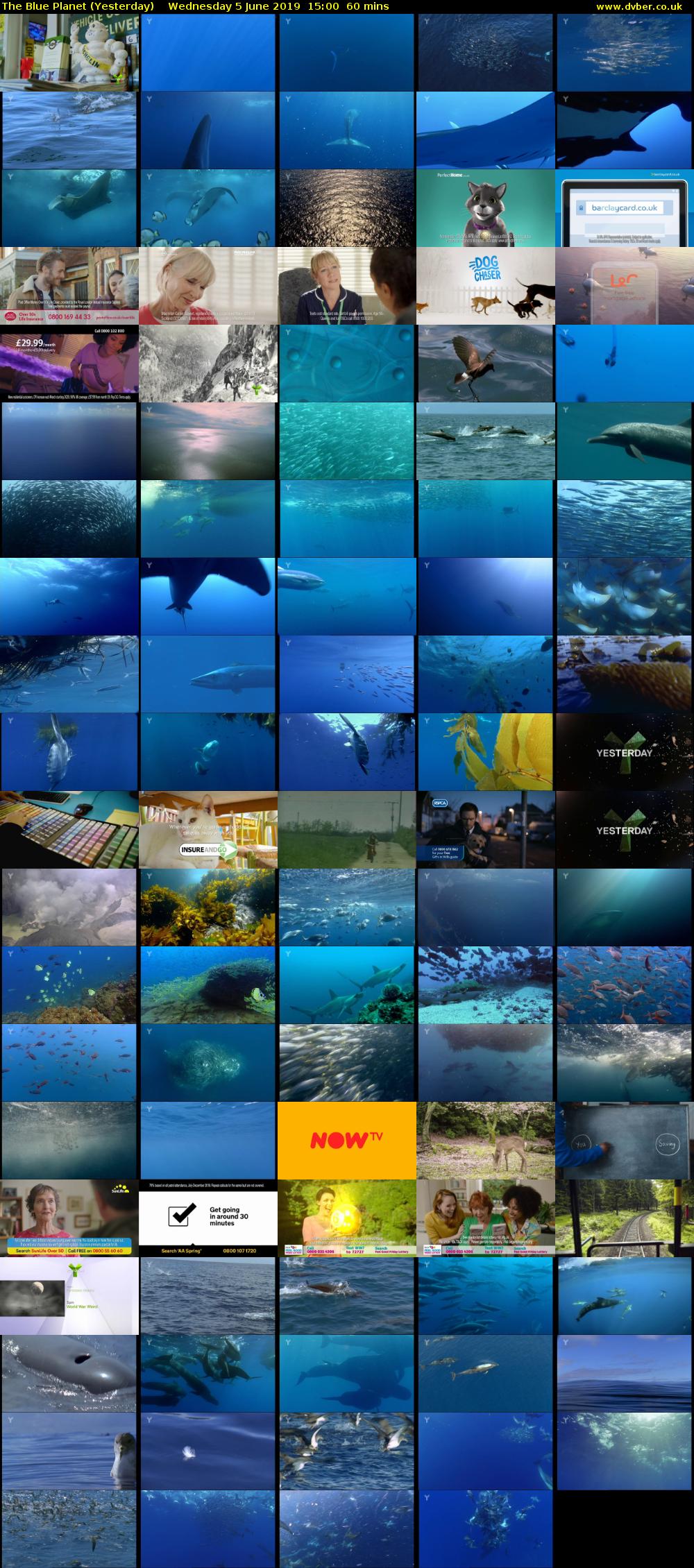 The Blue Planet (Yesterday) Wednesday 5 June 2019 15:00 - 16:00