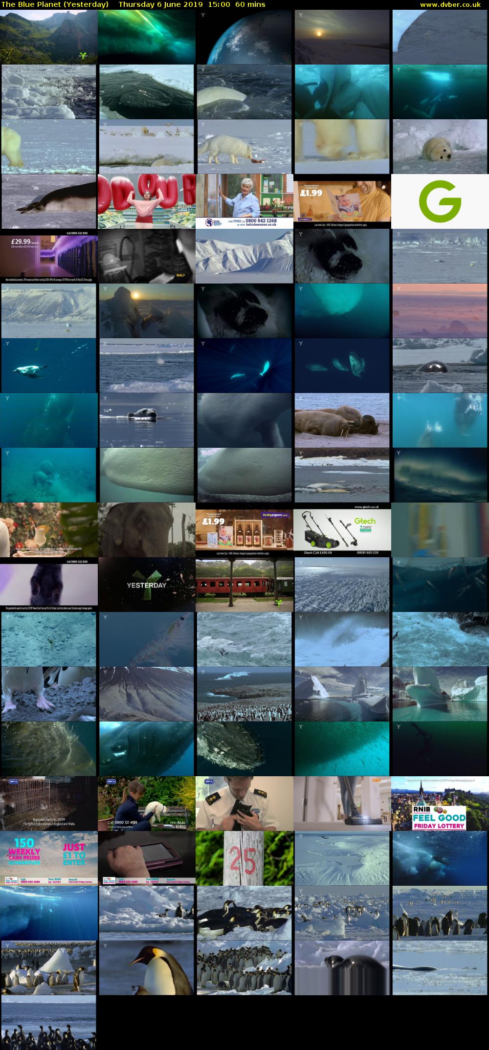 The Blue Planet (Yesterday) Thursday 6 June 2019 15:00 - 16:00