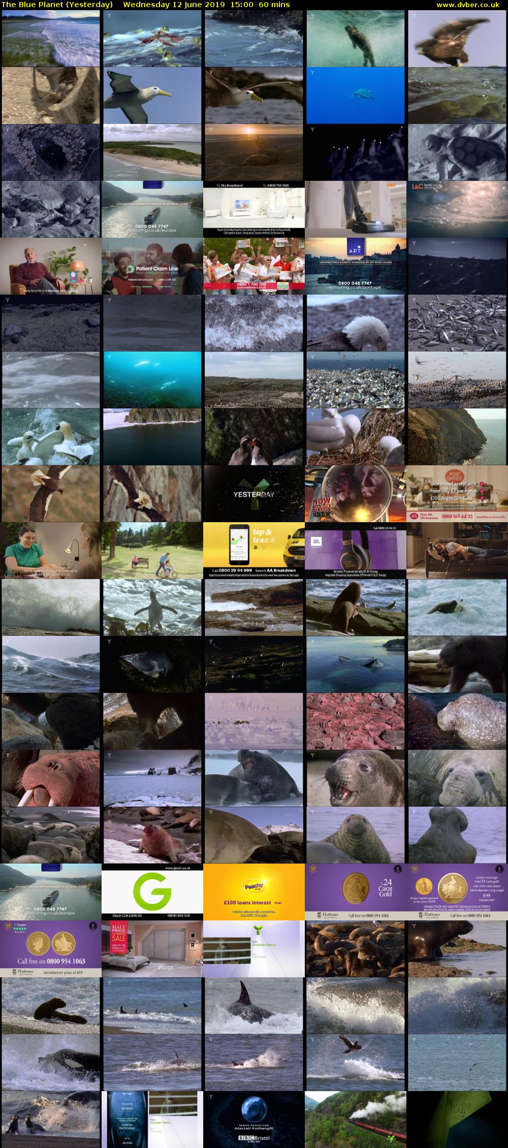 The Blue Planet (Yesterday) Wednesday 12 June 2019 15:00 - 16:00