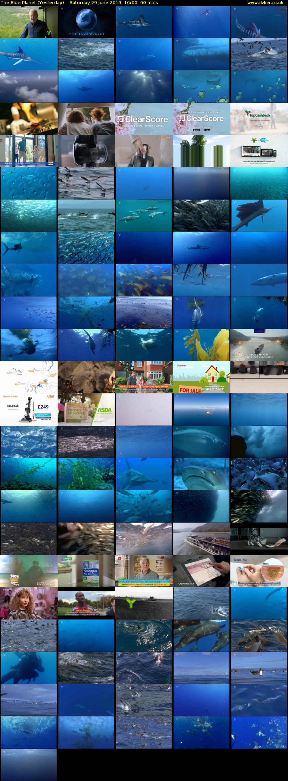 The Blue Planet (Yesterday) Saturday 29 June 2019 16:00 - 17:00