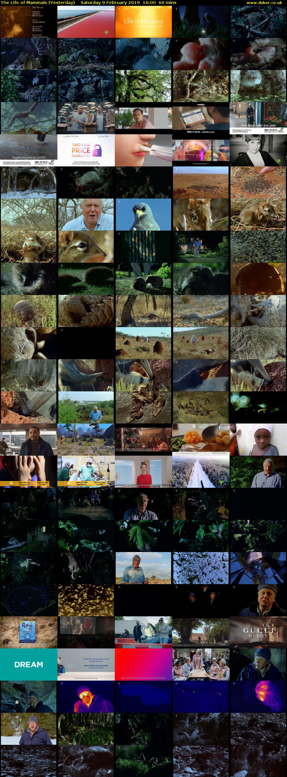 The Life of Mammals (Yesterday) Saturday 9 February 2019 16:00 - 17:00