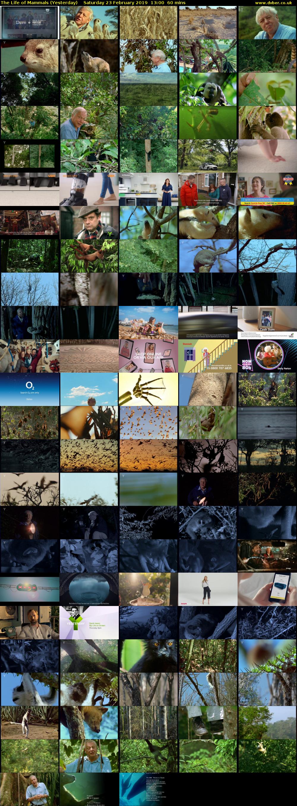 The Life of Mammals (Yesterday) Saturday 23 February 2019 13:00 - 14:00