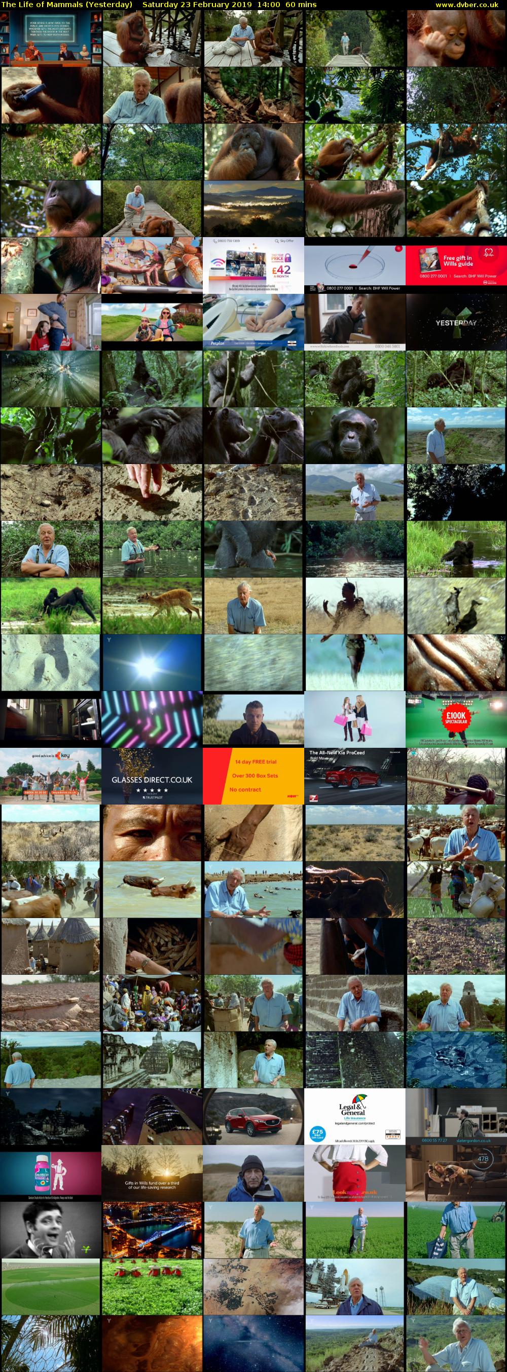 The Life of Mammals (Yesterday) Saturday 23 February 2019 14:00 - 15:00