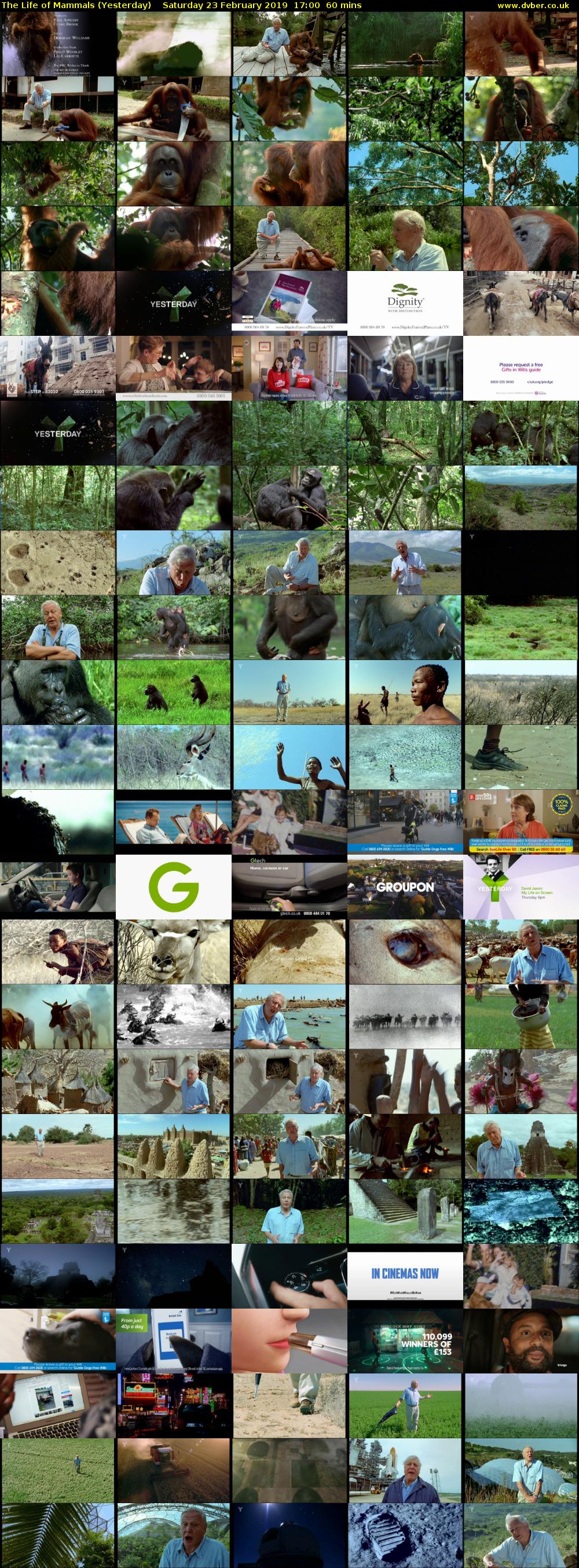 The Life of Mammals (Yesterday) Saturday 23 February 2019 17:00 - 18:00