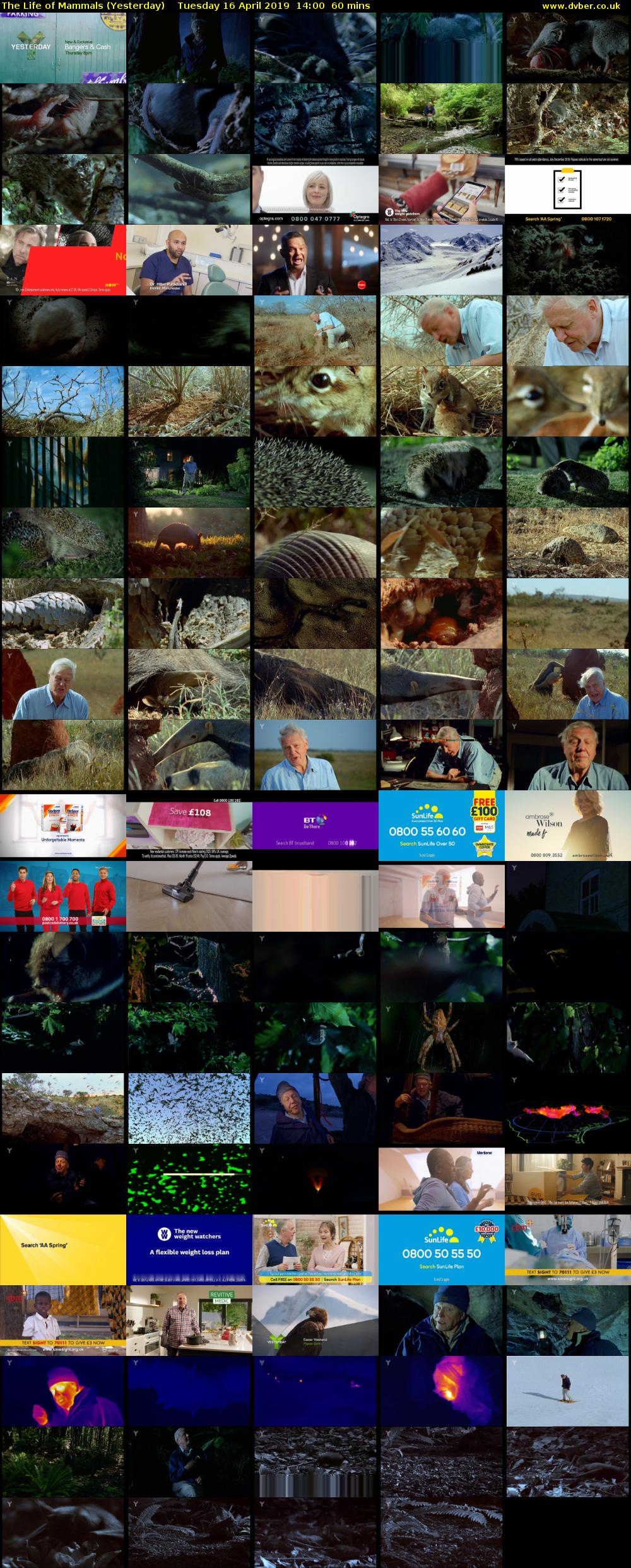 The Life of Mammals (Yesterday) Tuesday 16 April 2019 14:00 - 15:00
