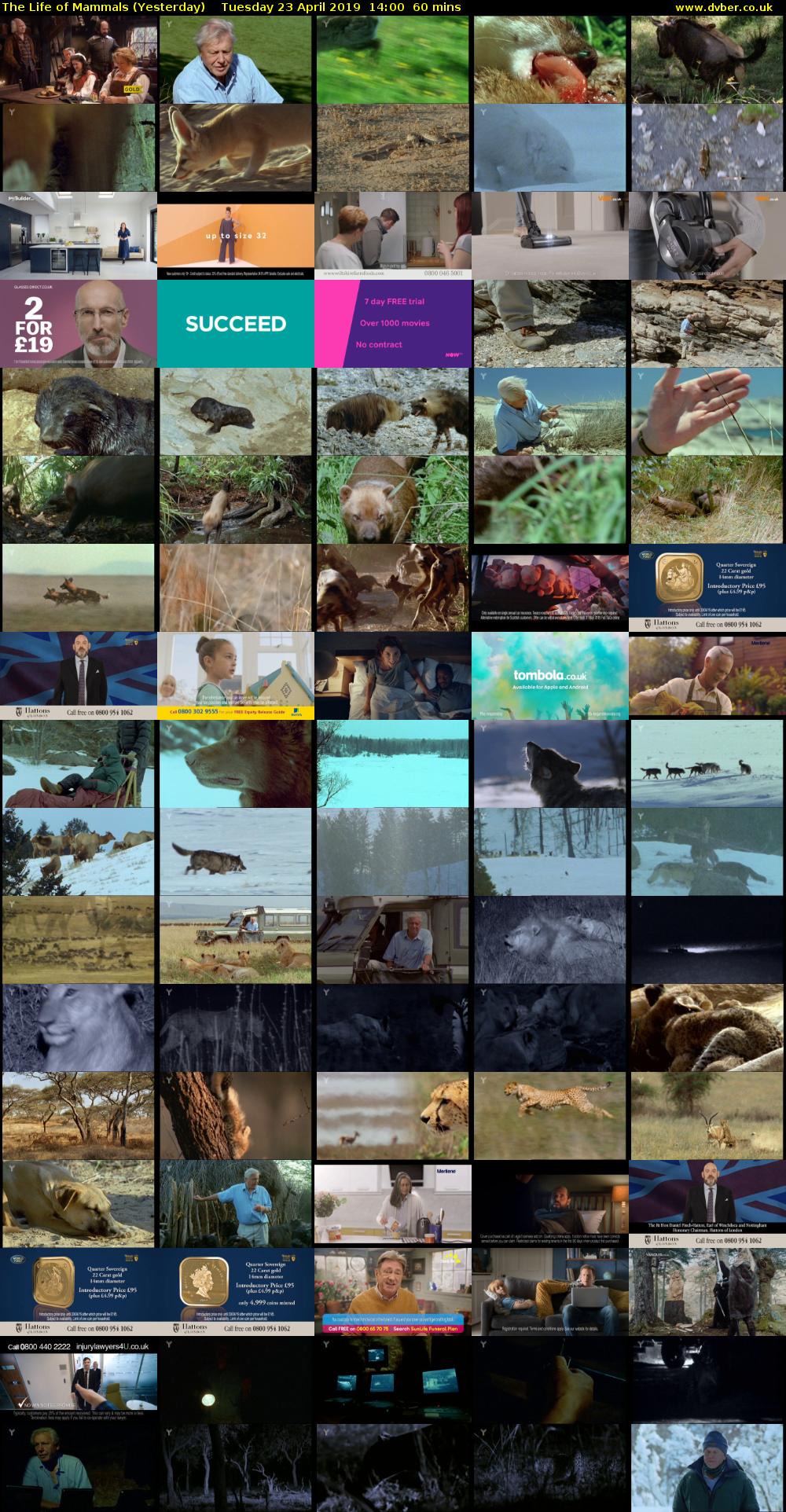 The Life of Mammals (Yesterday) Tuesday 23 April 2019 14:00 - 15:00
