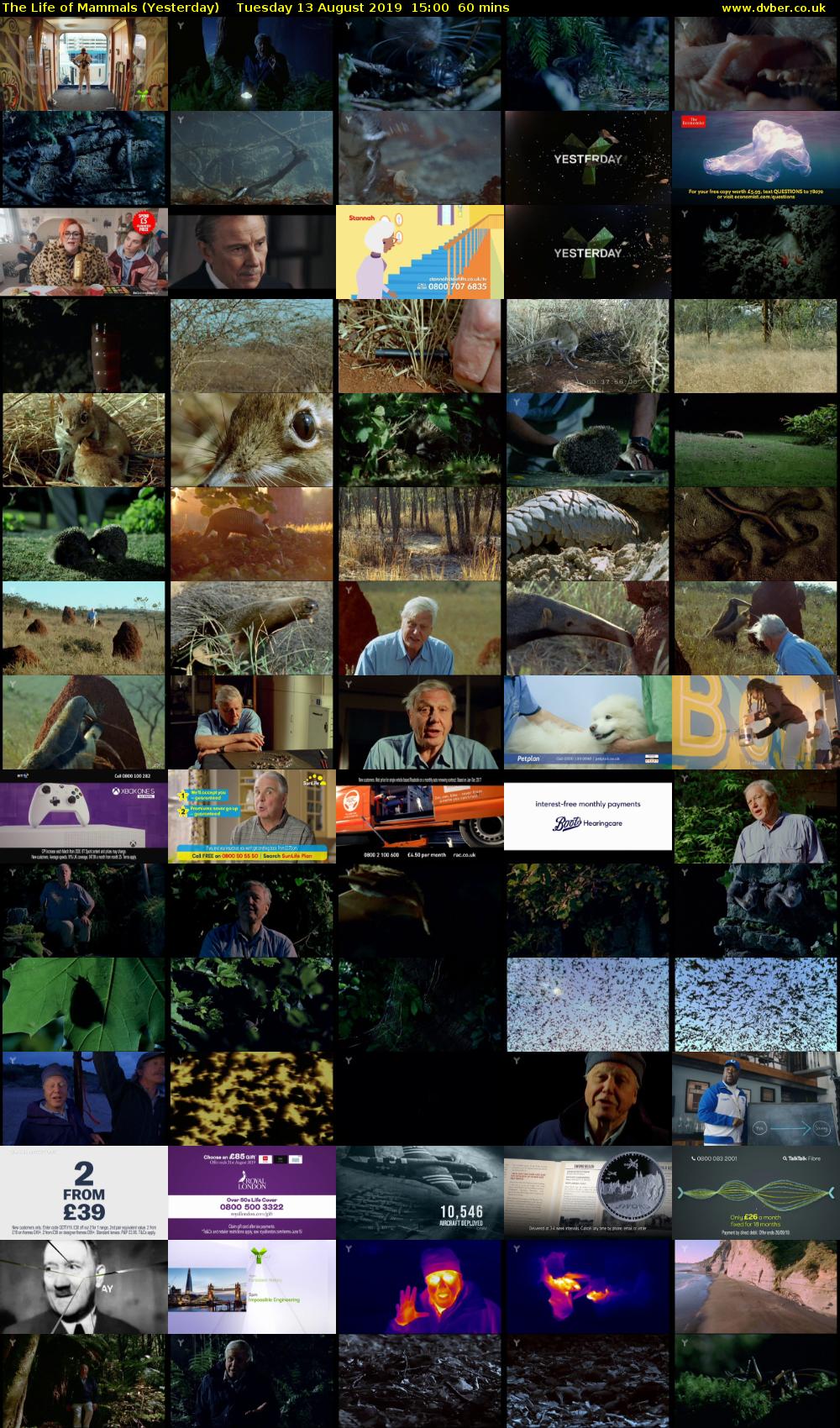 The Life of Mammals (Yesterday) Tuesday 13 August 2019 15:00 - 16:00
