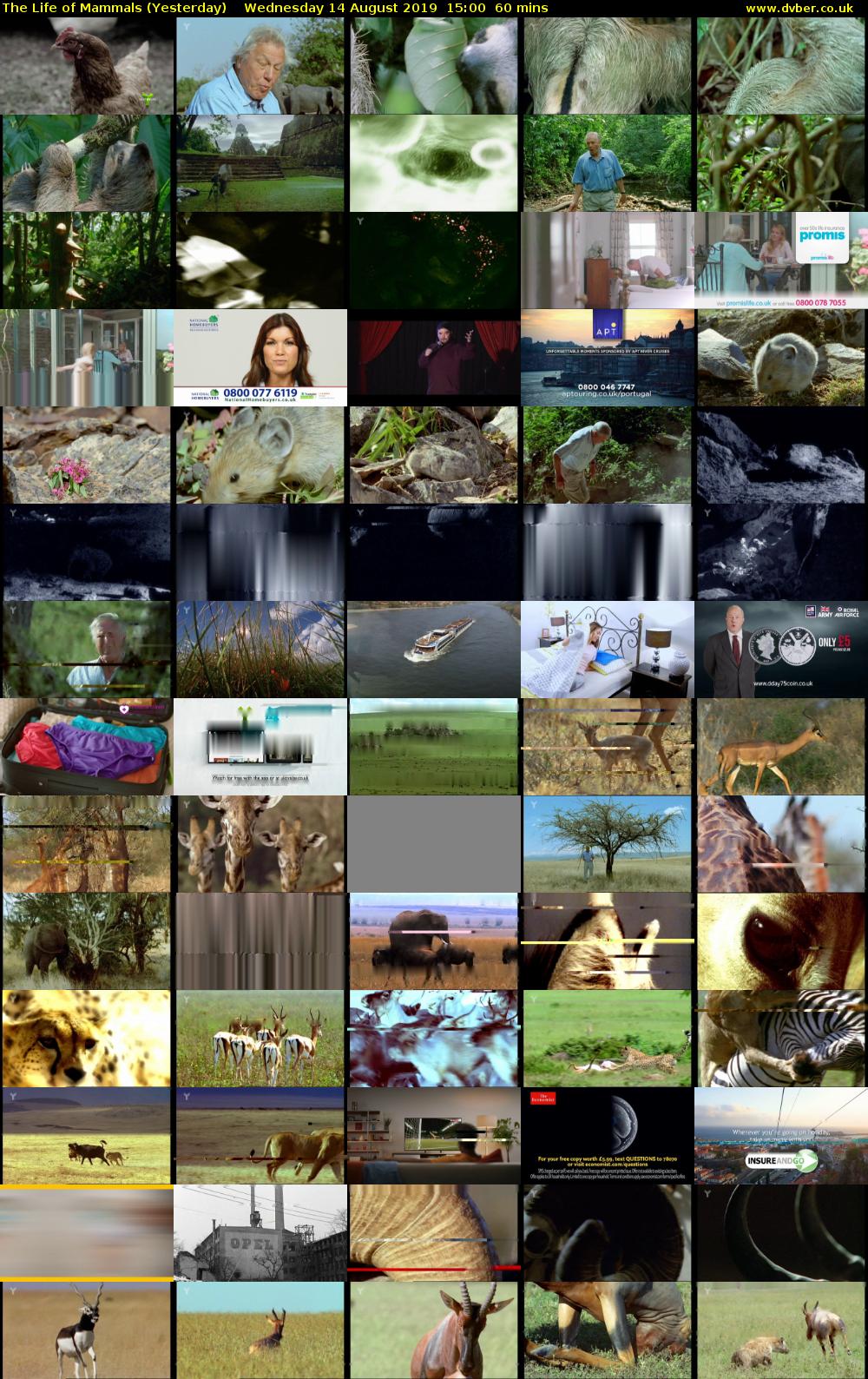 The Life of Mammals (Yesterday) Wednesday 14 August 2019 15:00 - 16:00