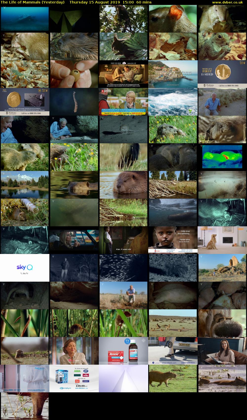 The Life of Mammals (Yesterday) Thursday 15 August 2019 15:00 - 16:00