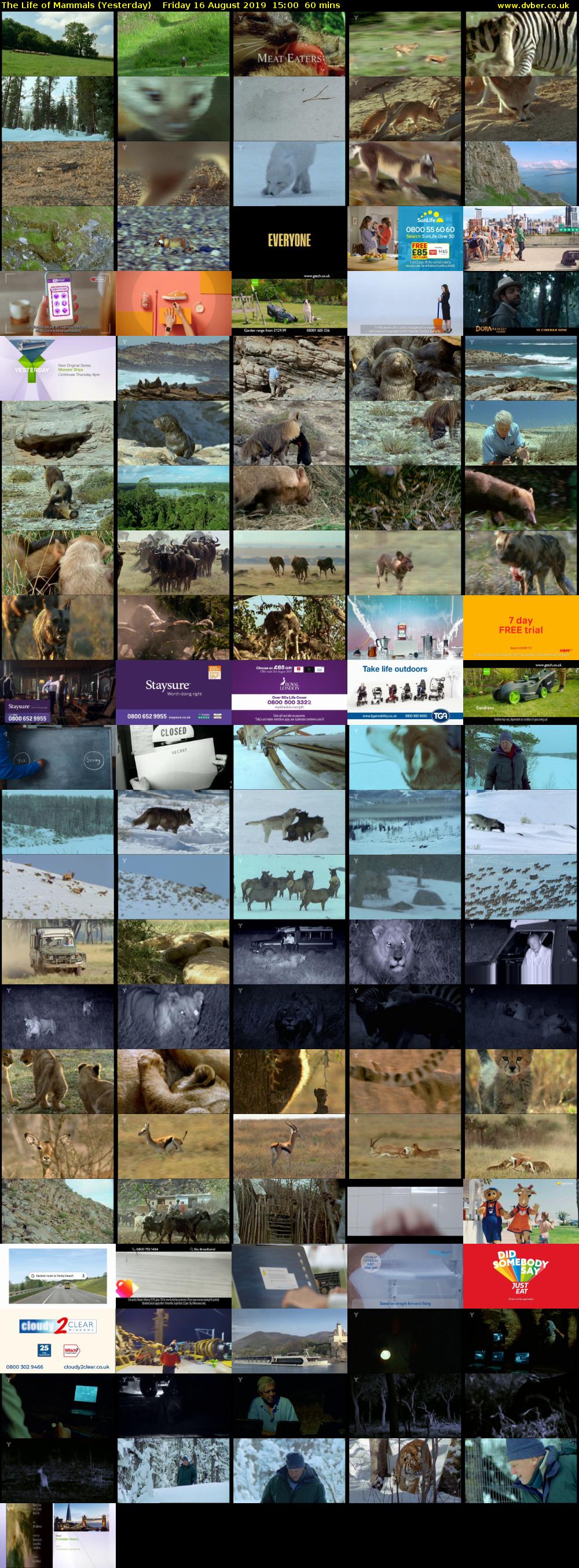 The Life of Mammals (Yesterday) Friday 16 August 2019 15:00 - 16:00