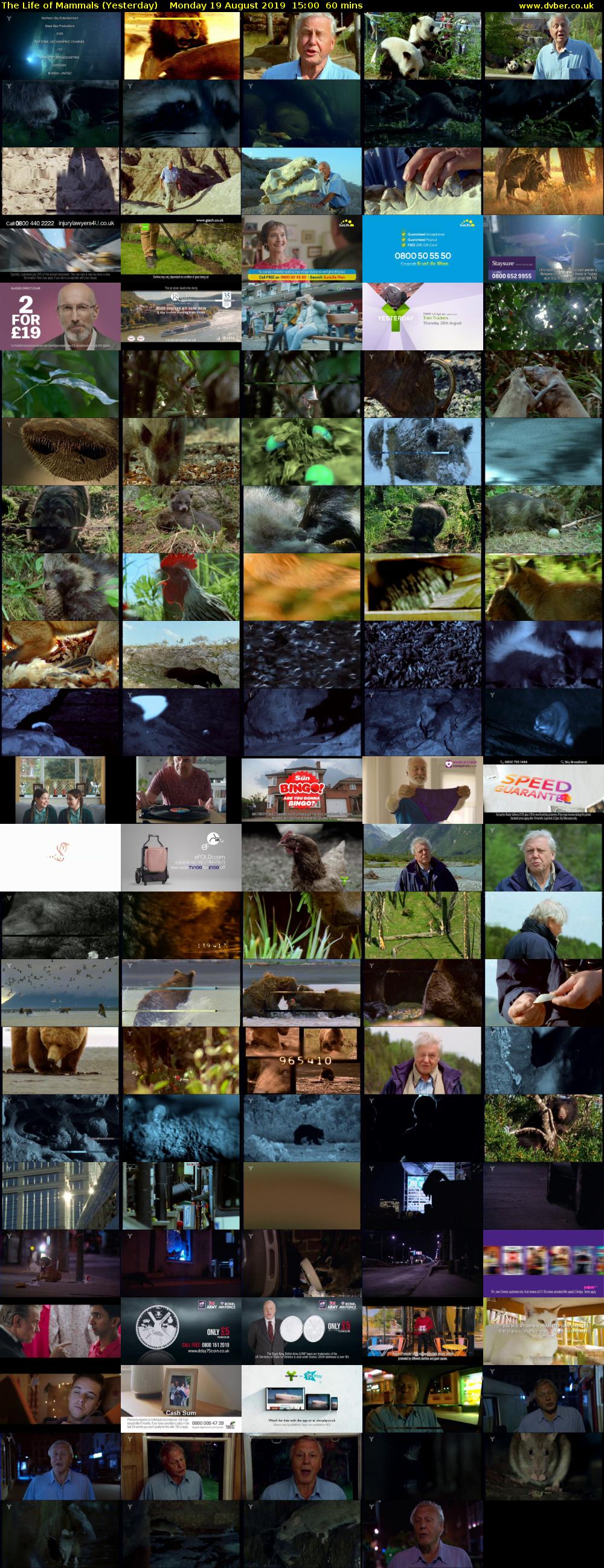 The Life of Mammals (Yesterday) Monday 19 August 2019 15:00 - 16:00