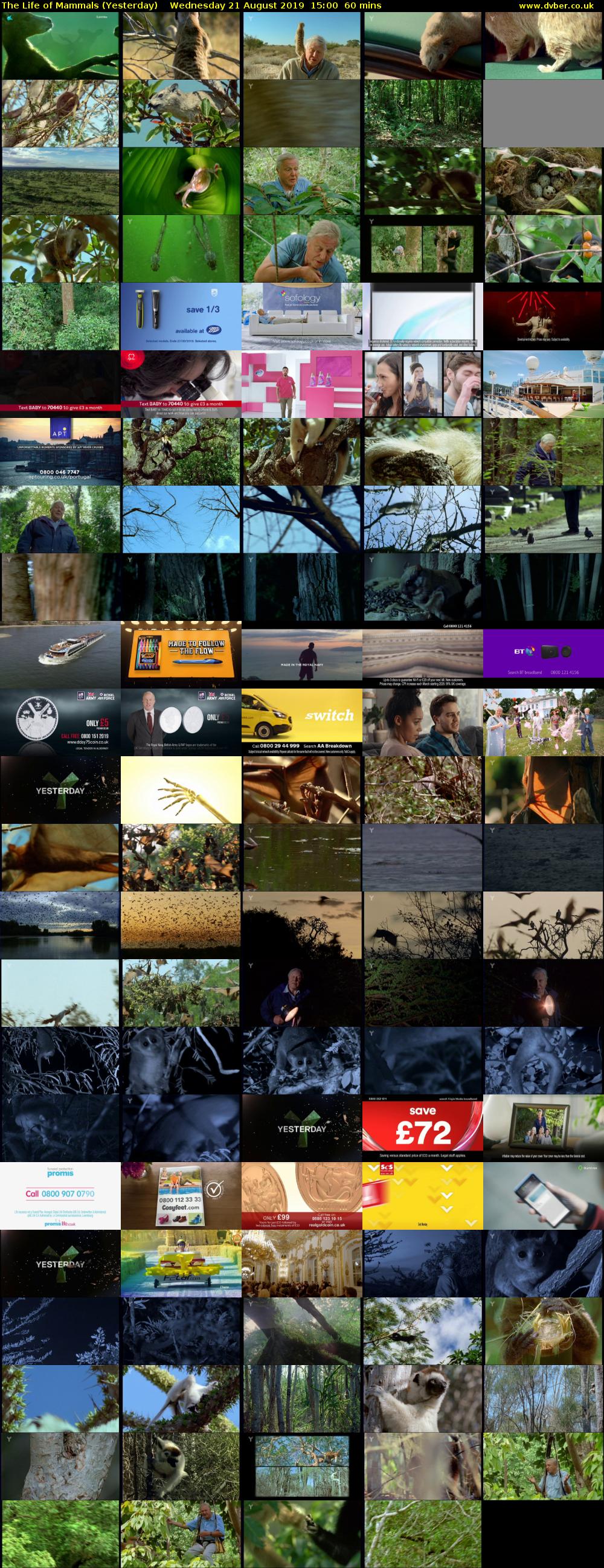 The Life of Mammals (Yesterday) Wednesday 21 August 2019 15:00 - 16:00