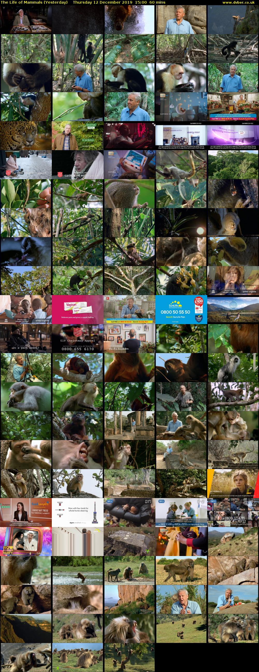 The Life of Mammals (Yesterday) Thursday 12 December 2019 15:00 - 16:00