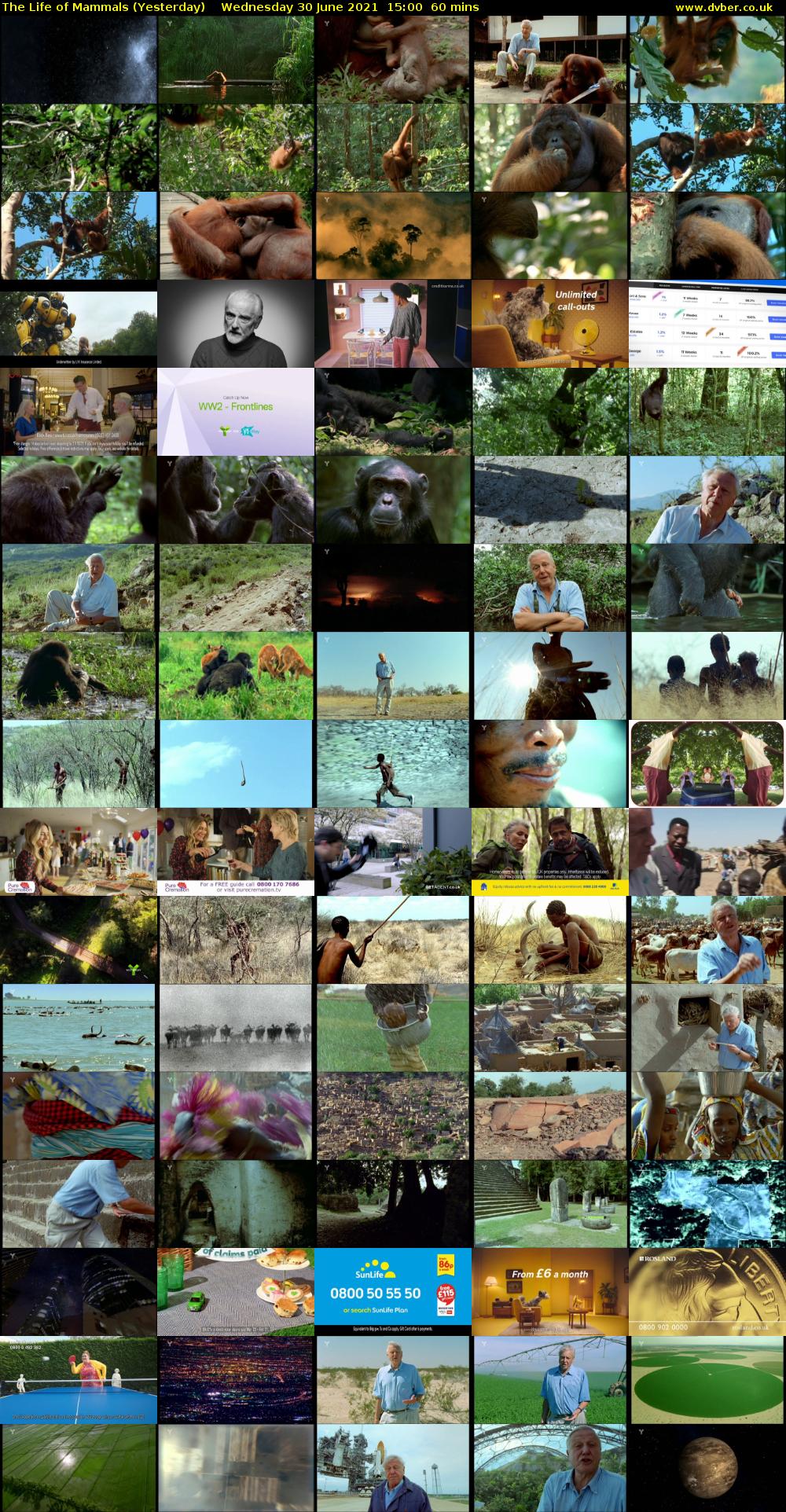 The Life of Mammals (Yesterday) Wednesday 30 June 2021 15:00 - 16:00
