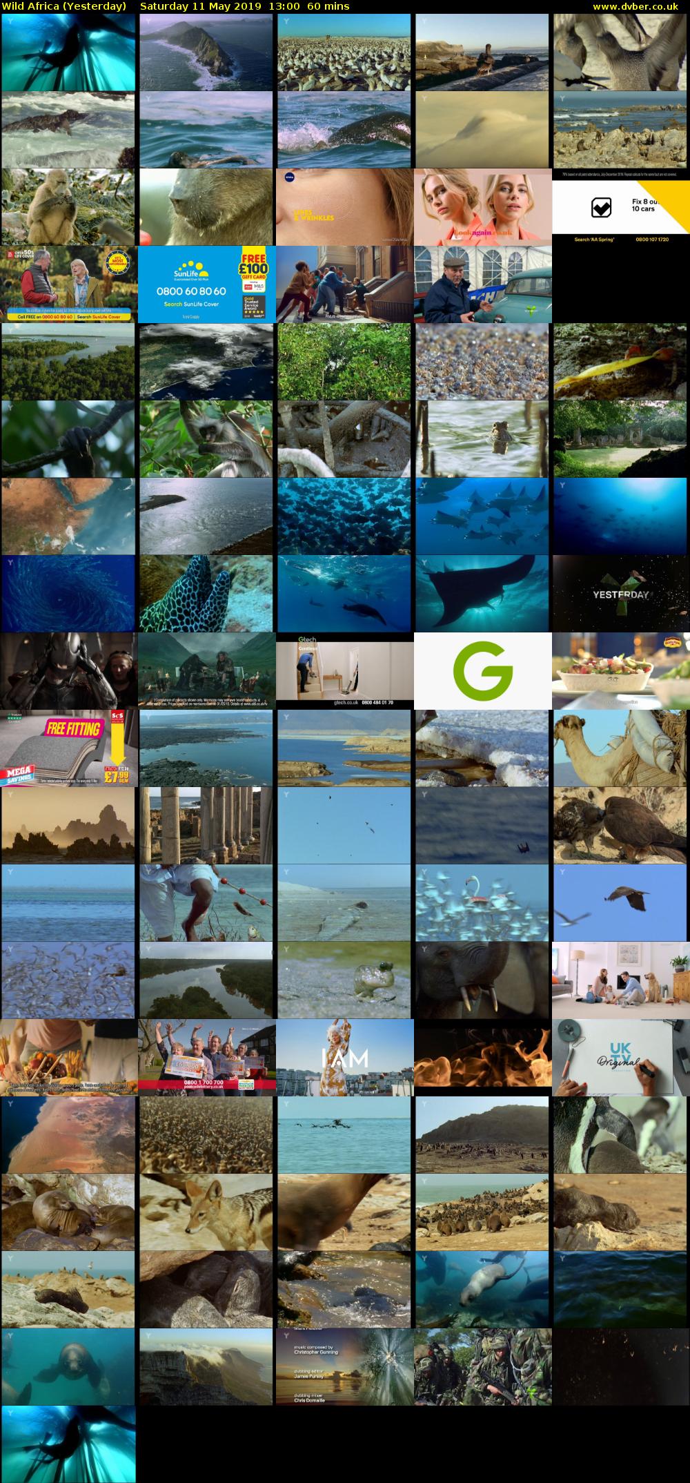 Wild Africa (Yesterday) Saturday 11 May 2019 13:00 - 14:00