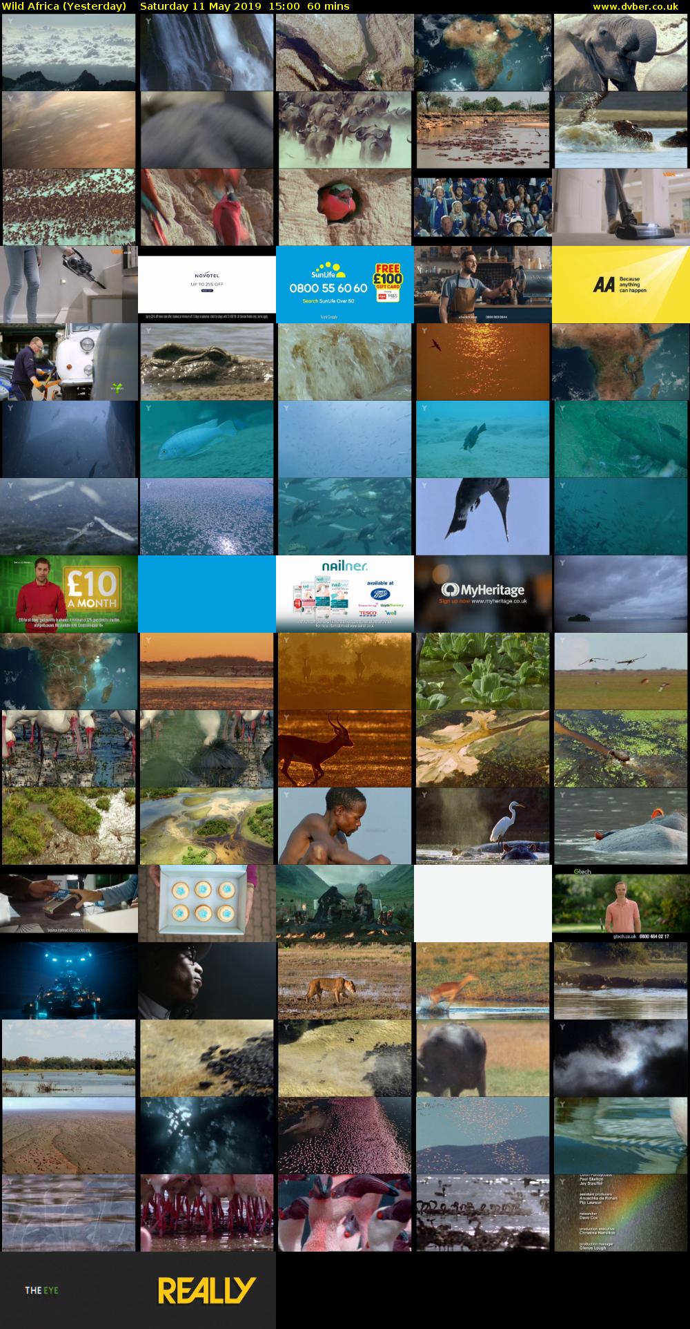 Wild Africa (Yesterday) Saturday 11 May 2019 15:00 - 16:00