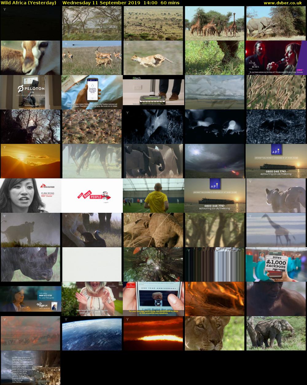 Wild Africa (Yesterday) Wednesday 11 September 2019 14:00 - 15:00