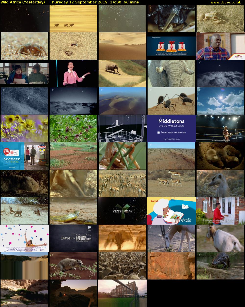 Wild Africa (Yesterday) Thursday 12 September 2019 14:00 - 15:00