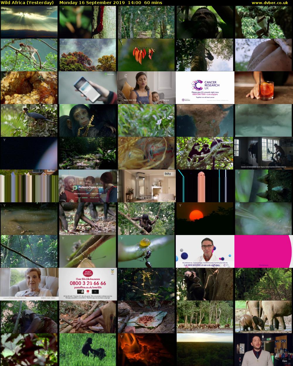 Wild Africa (Yesterday) Monday 16 September 2019 14:00 - 15:00