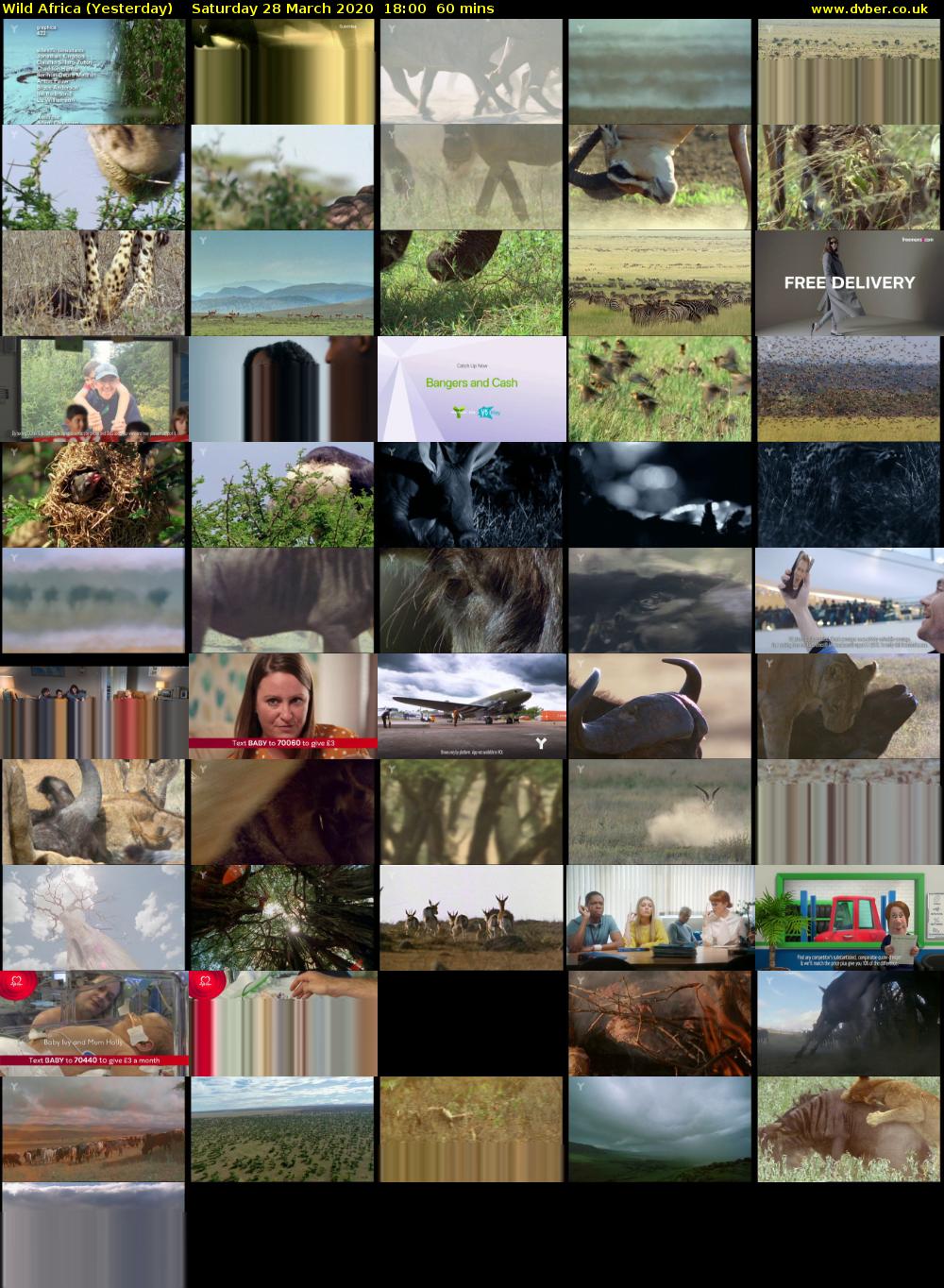 Wild Africa (Yesterday) Saturday 28 March 2020 18:00 - 19:00