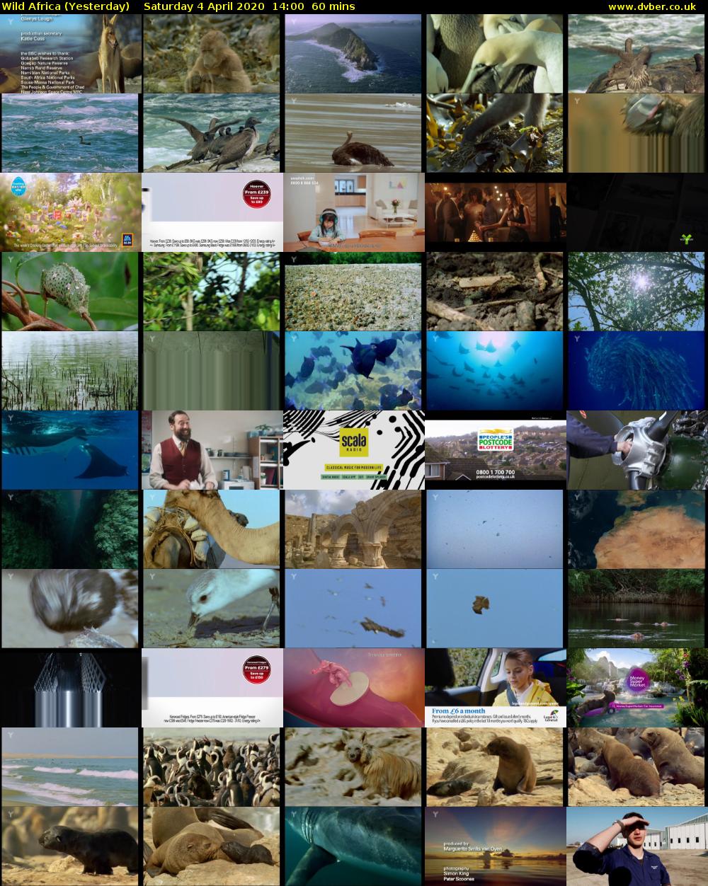 Wild Africa (Yesterday) Saturday 4 April 2020 14:00 - 15:00