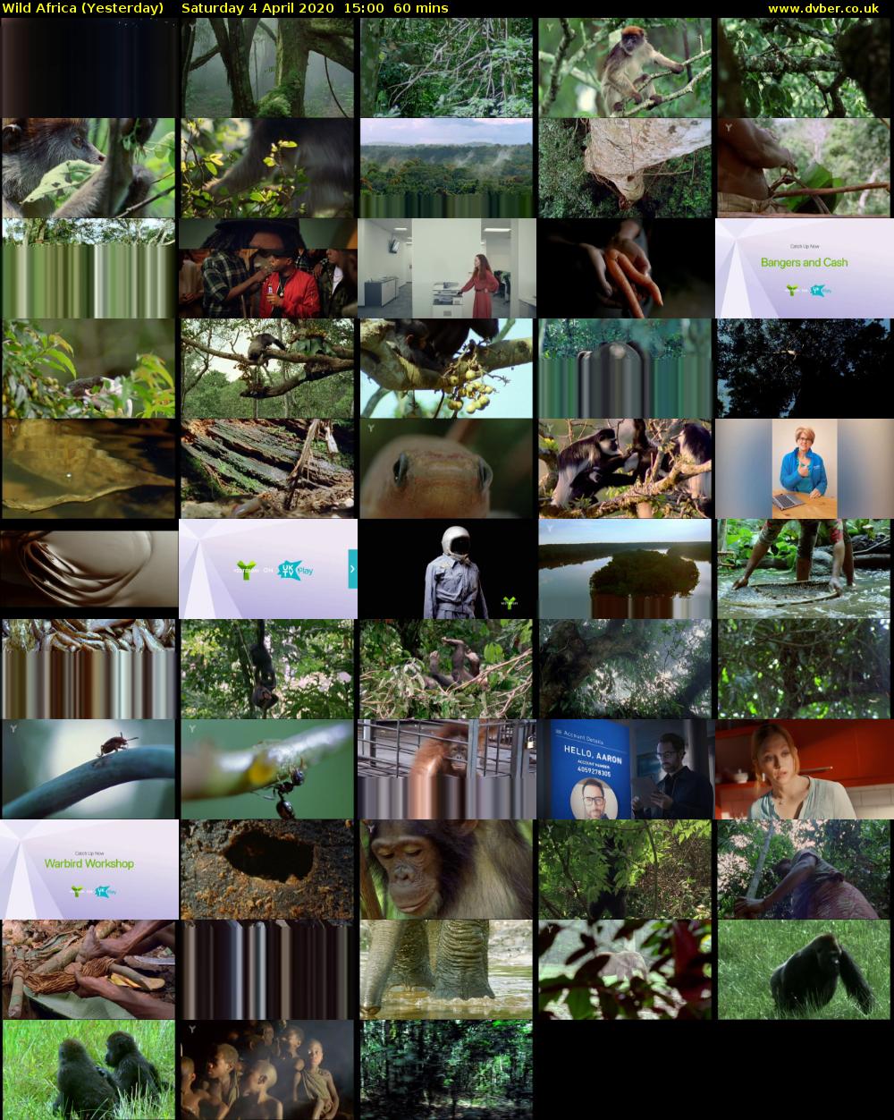 Wild Africa (Yesterday) Saturday 4 April 2020 15:00 - 16:00